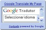 Adicione um tradutor no seu site com o Google Gadgets Google-gadget-tradutor