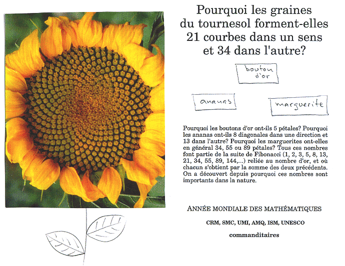 Beauté et mystères du monde végétal Tournesol