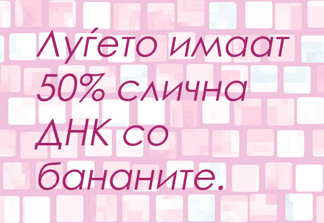 OD ZHIVOTOT - Page 2 16-fakti-koi-zaboravile-da-vi-gi-kazat-vo-uciliste-dijamantite-moze-da-se-napravat-od-puter-od-kikiriki-1