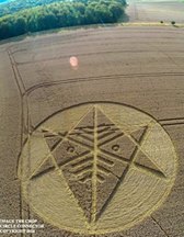  	 Crop Circle at Ironwell Lane, nr Stroud Green, Essex, United Kingdom. Reported 24th August  2014 Image001