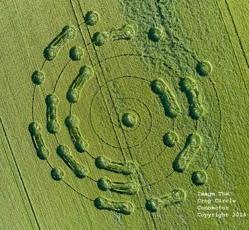 Crop Circles 2014 GipsyLane2014b