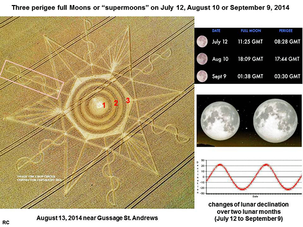 CROP CIRCLE UPDATE : CHANGES OF LUNAR DECLINATION (3 SUPERMOONS) Gussage-moon1