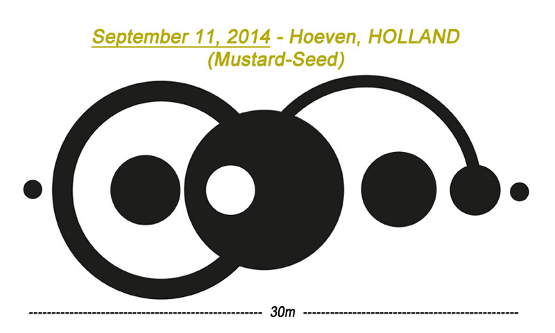 CROP CIRCLE UPDATE : MUSTARD SEED (FAITH) Edited-12