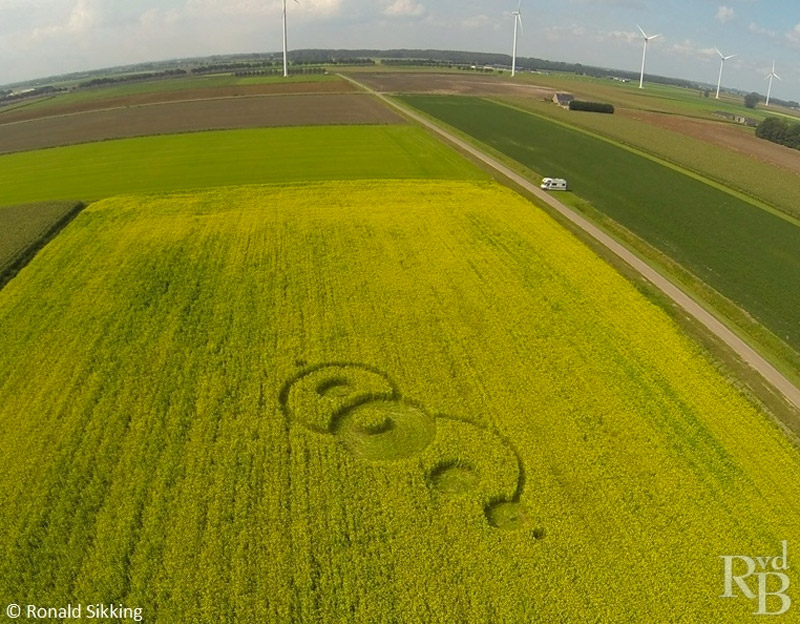 CROP CIRCLE UPDATE : MUSTARD SEED (FAITH) Kl671