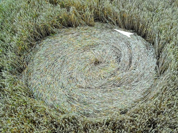 CROP CIRCLE : ROBBERT van den BROEKE ( 8 ) – INFINITY Standd.88