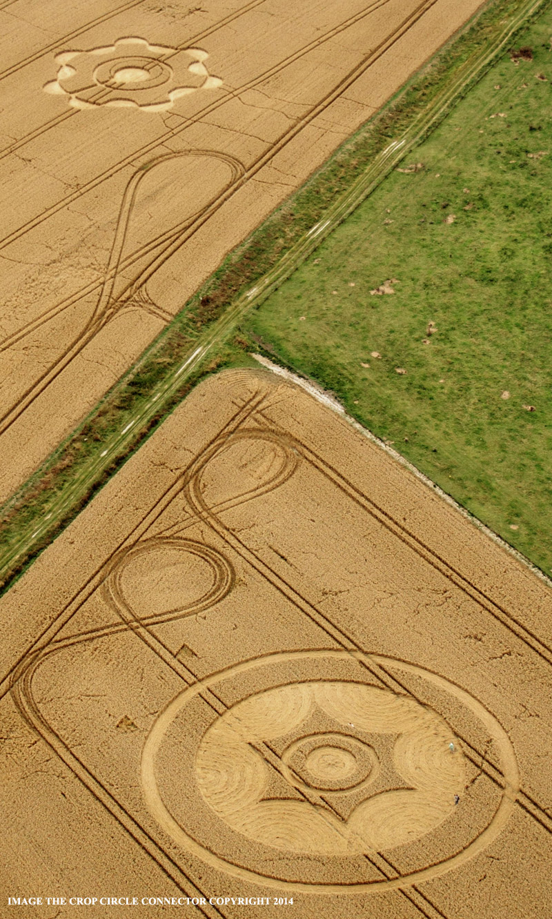 Crop Circles 2014 - Página 3 7D14_0139-both