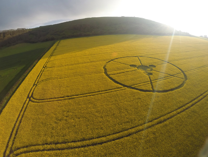 Crop Circle at Hambledon Hill Blandford-1