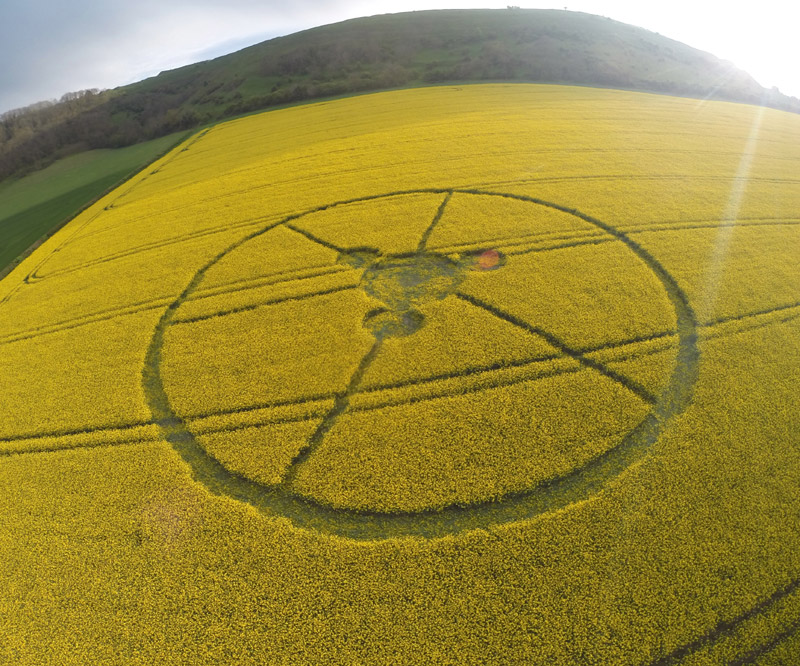 Crop Circle at Hambledon Hill Blandford-3