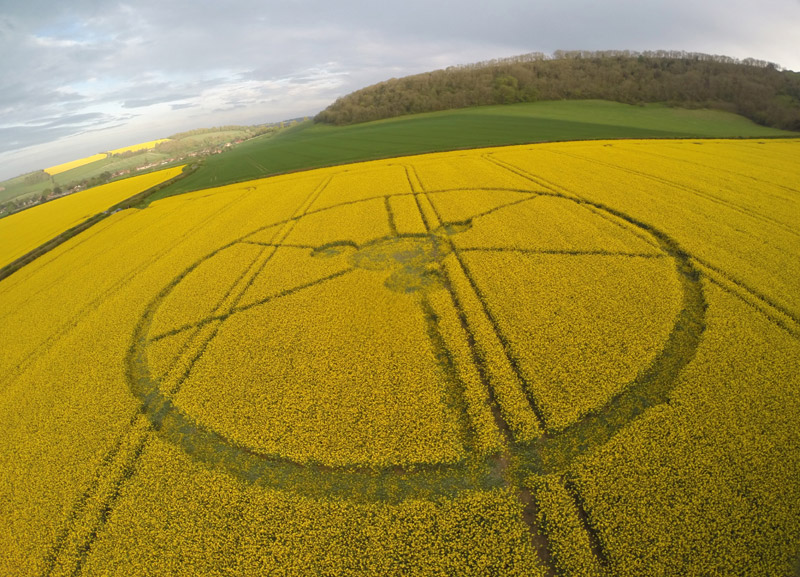 Crop Circle at Hambledon Hill Blandford-4