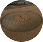 Crop Circle  - Página 27 Westkennett2014b