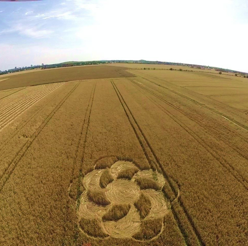 Crop Circles ~ Brandenburg (2), nr Berlin, Germany. Reported 1st August. 11026202_1448516675475331_1