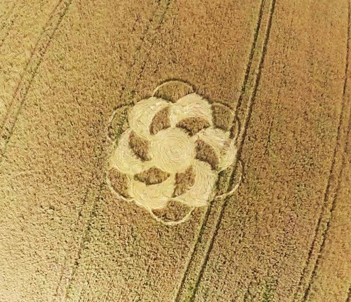 Crop Circles ~ Brandenburg (2), nr Berlin, Germany. Reported 1st August. 11144954_1448516825475316