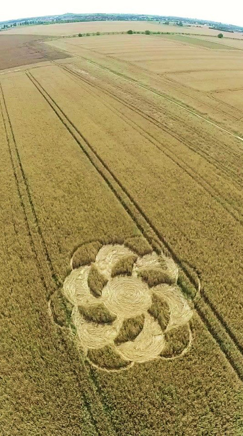 Crop Circles ~ Brandenburg (2), nr Berlin, Germany. Reported 1st August. 11779943_14485169221419