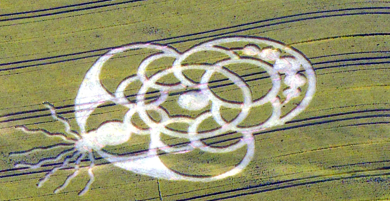 Crop circles in the Czech Republic 2015 and MORE MichalSmid2015b