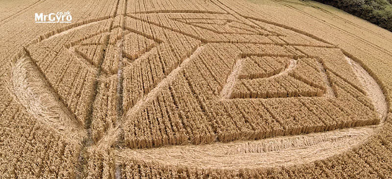 Crop Circle At Ockley Hill, nr Merstham, Surrey.UK. Reported 19th July 2015. 2x