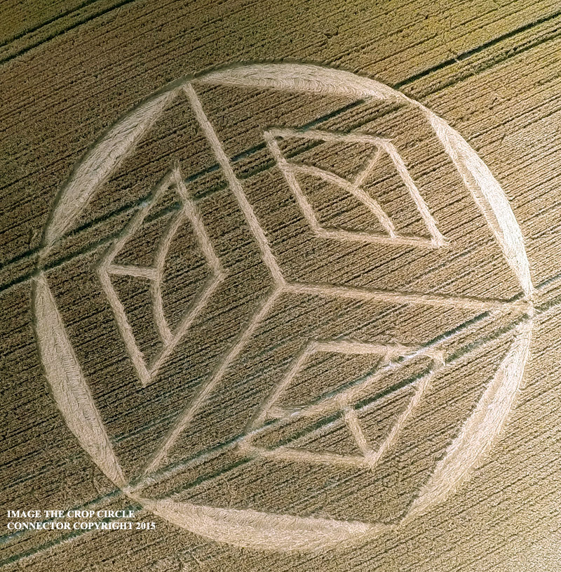 Crop Circle At Ockley Hill, nr Merstham, Surrey.UK. Reported 19th July 2015. G0029799_1437332545990_high