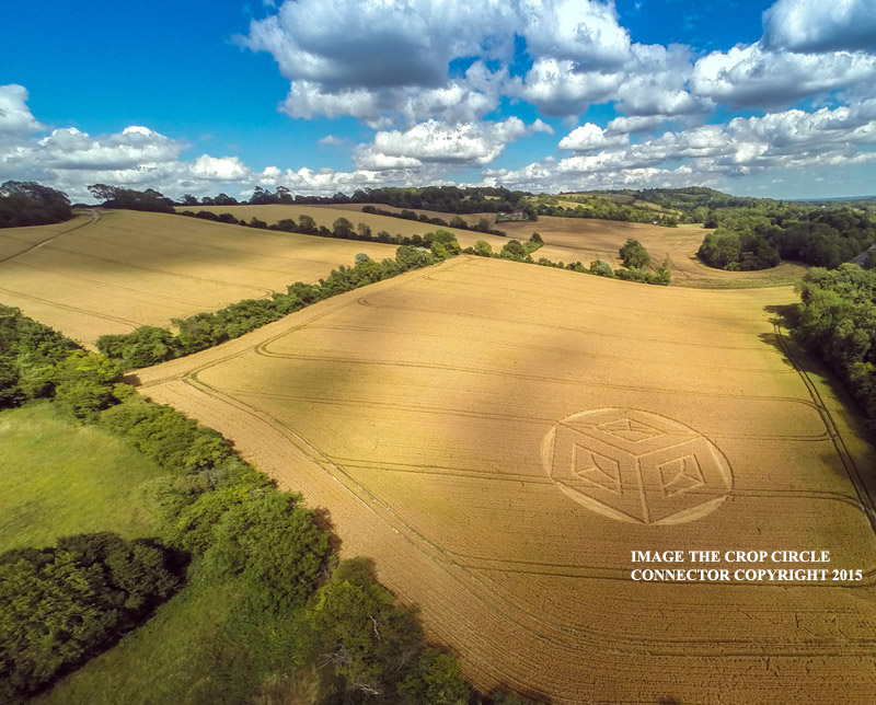 Crop Circle At Ockley Hill, nr Merstham, Surrey.UK. Reported 19th July 2015. G0029817bbb