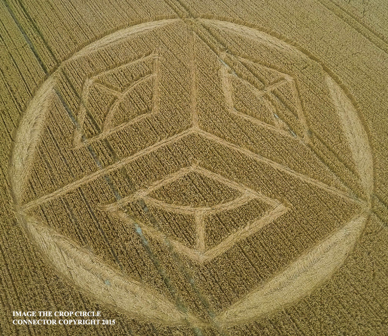 Crop Circle At Ockley Hill, nr Merstham, Surrey.UK. Reported 19th July 2015. G0029831bbb