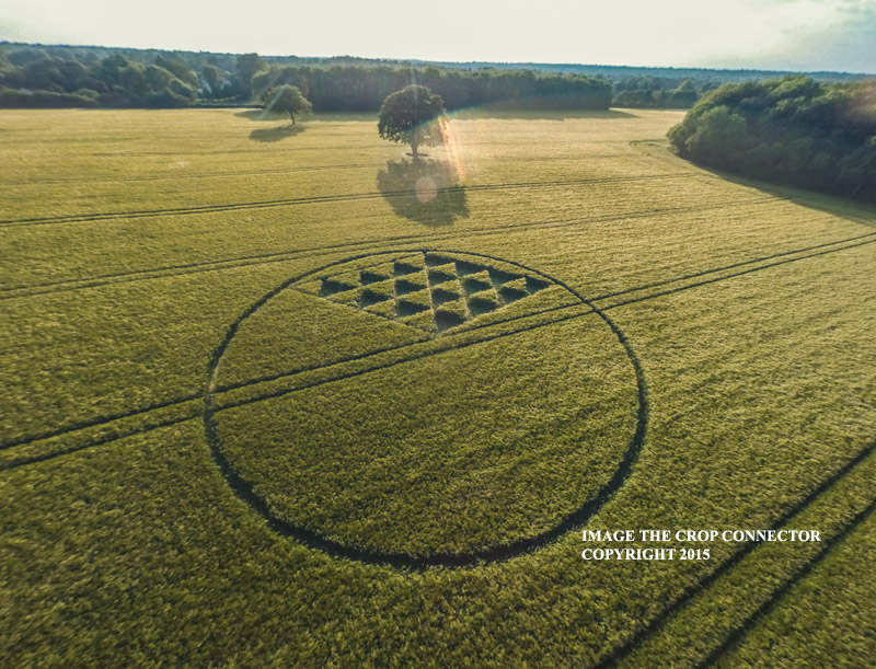  Crops circles - 2015 G0037983bbb