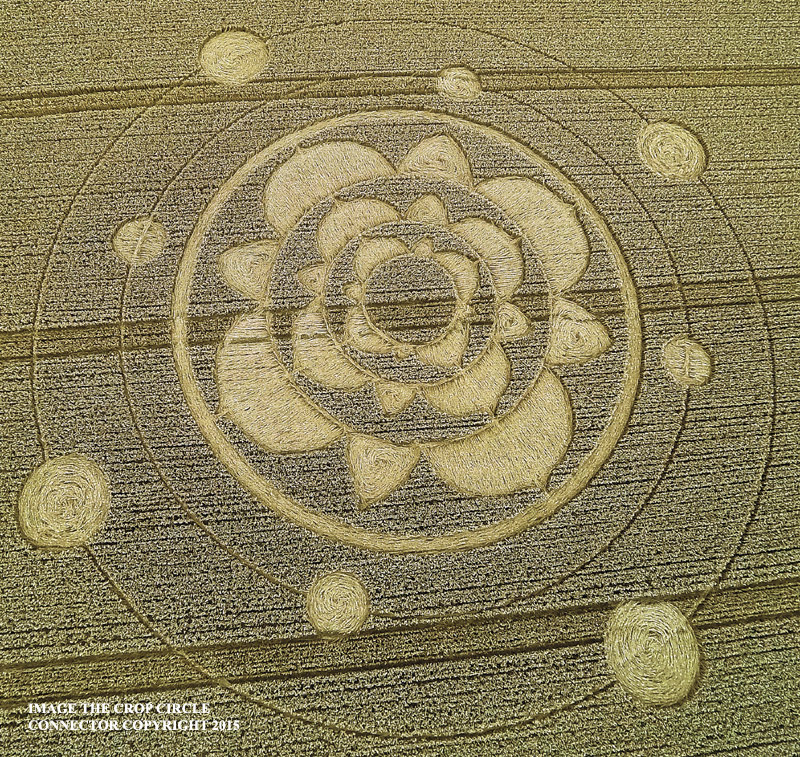 Crop Circle ~ Furzefield Shaw, Nr Merstham, Surrey, United Kingdom. G0010548ccc