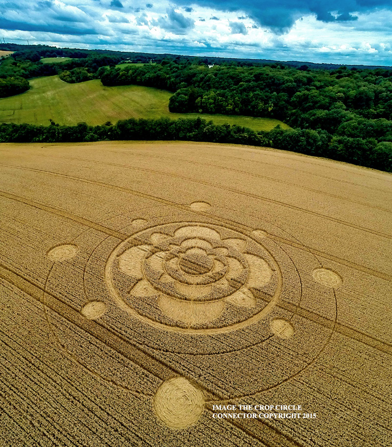 Crop Circle ~ Furzefield Shaw, Nr Merstham, Surrey, United Kingdom. G0010553bbb