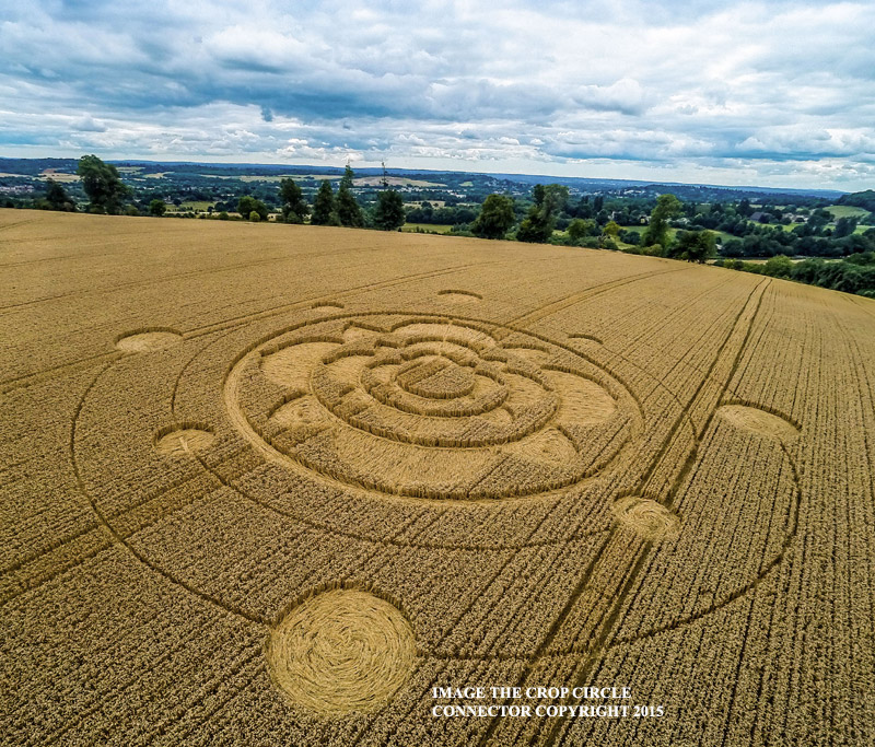 Crop Circle ~ Furzefield Shaw, Nr Merstham, Surrey, United Kingdom. G0010560bbb