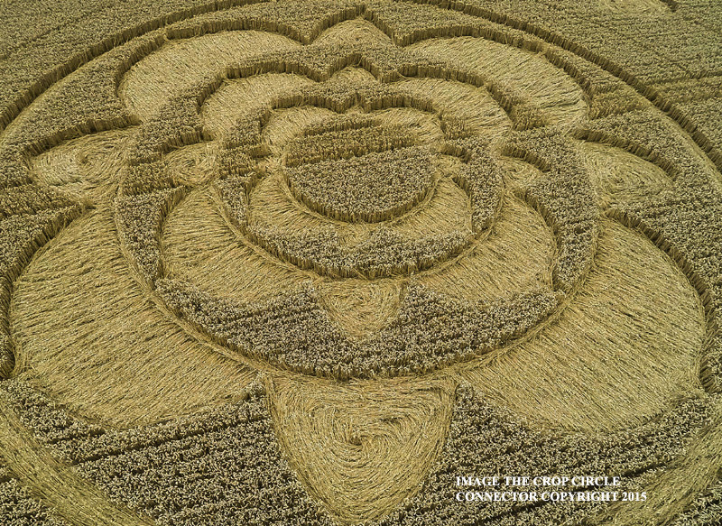 Crop Circle ~ Furzefield Shaw, Nr Merstham, Surrey, United Kingdom. G0010571Kbbb