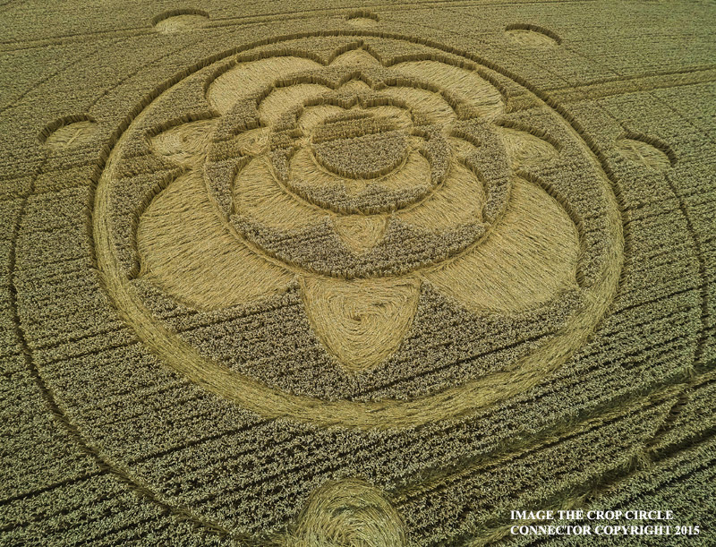 Crop Circle ~ Furzefield Shaw, Nr Merstham, Surrey, United Kingdom. G0010571bbb