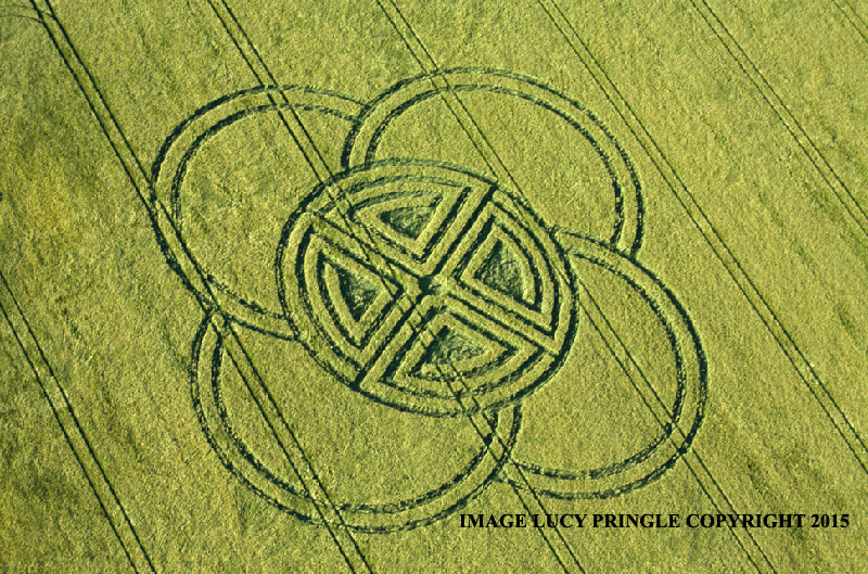  Crops circles - 2015 Fox-Ground-Down--Dorset05