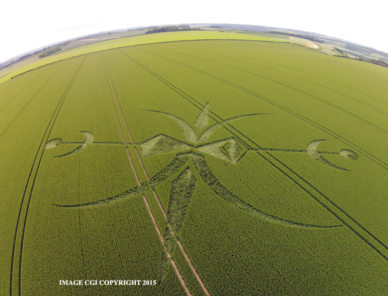  Crops circles - 2015 DJI002522