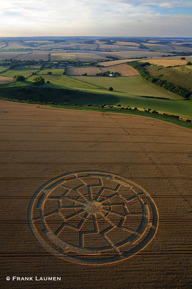 Crop Circles ~ Ox Drove, nr Bowerchalke, Wiltshire, United Kingdom. Reported 8th August. 11855570n