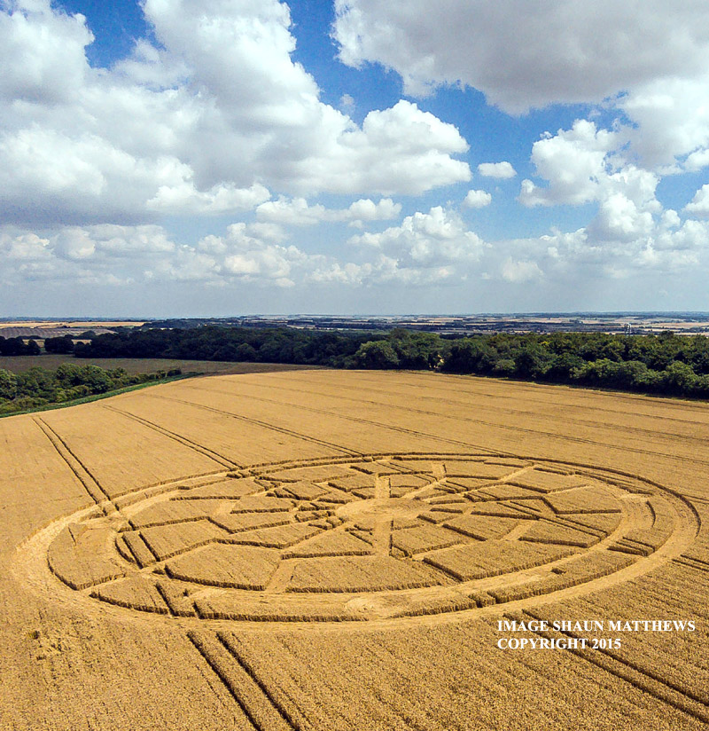 Crop Circles ~ Ox Drove, nr Bowerchalke, Wiltshire, United Kingdom. Reported 8th August. DJI009541