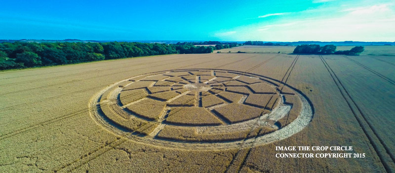 Crop Circles ~ Ox Drove, nr Bowerchalke, Wiltshire, United Kingdom. Reported 8th August. G0010740bbb