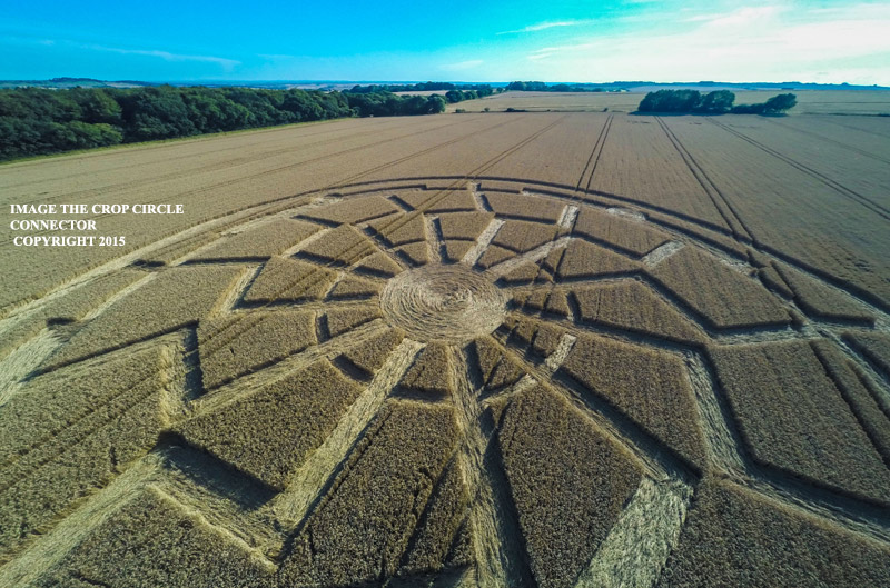 Crop Circles ~ Ox Drove, nr Bowerchalke, Wiltshire, United Kingdom. Reported 8th August. G0010748bbb