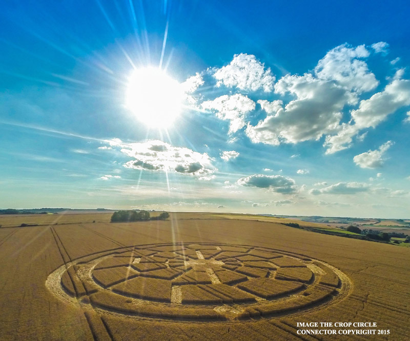 Crop Circles ~ Ox Drove, nr Bowerchalke, Wiltshire, United Kingdom. Reported 8th August. G0010765bbb