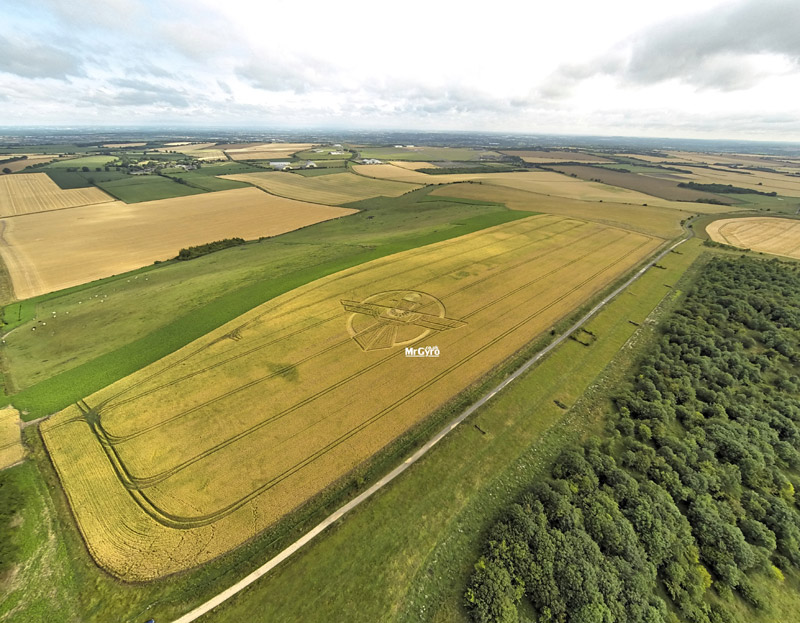 Crop Circle ~ Uffcott Down, nr Barbury Castle, Wiltshire. Reported 25th July. Long