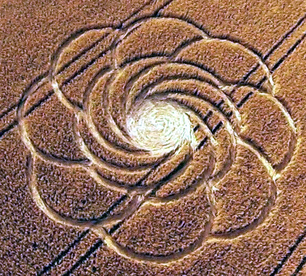 Crop Circles 2016 ~ Großziethen, Brandenburg, Germany 20165f3