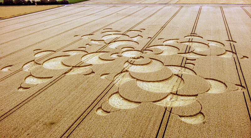 Crop Circles 2016 ~ Mammendorf Bavaria Germany 3-800pix