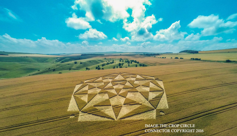 Crop Circles 2016 ~ Ranscomb Bottom, nr  Calstone Wellingotn. Wiltshire G0075816bbb