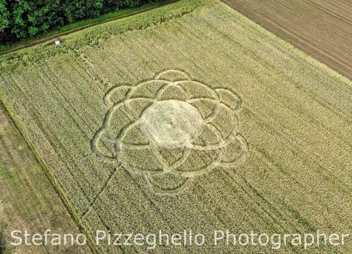 CROP CIRCLE ~ Vanzaghello, near Milan, Italy. Reported 8th June Vanzaghello-June8-1