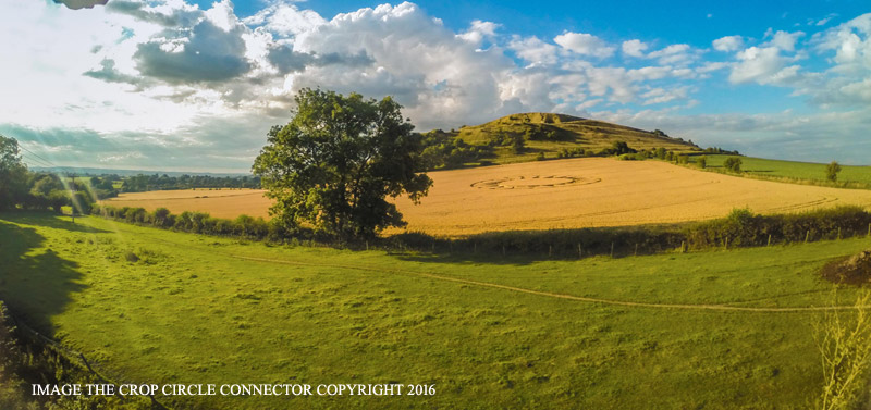 Crop Circles 2016 ~ 3 New in the UK G0046224bbb