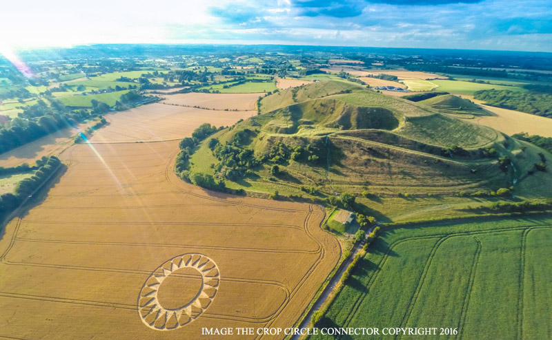 Crop Circles 2016 ~ 3 New in the UK G0046248bbb