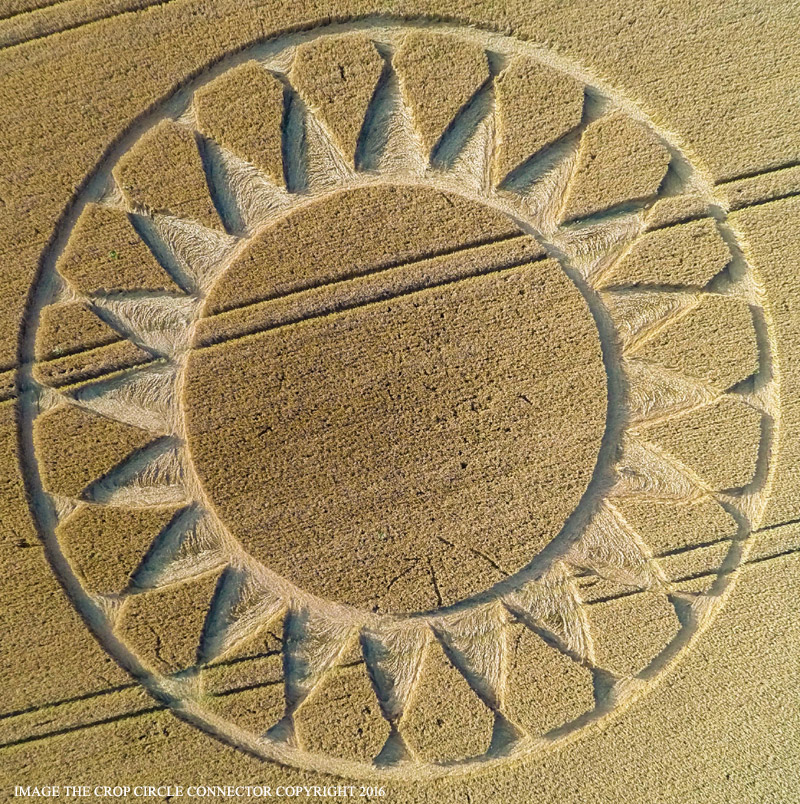 Crop Circles 2016 ~ 3 New in the UK G0046294bbb