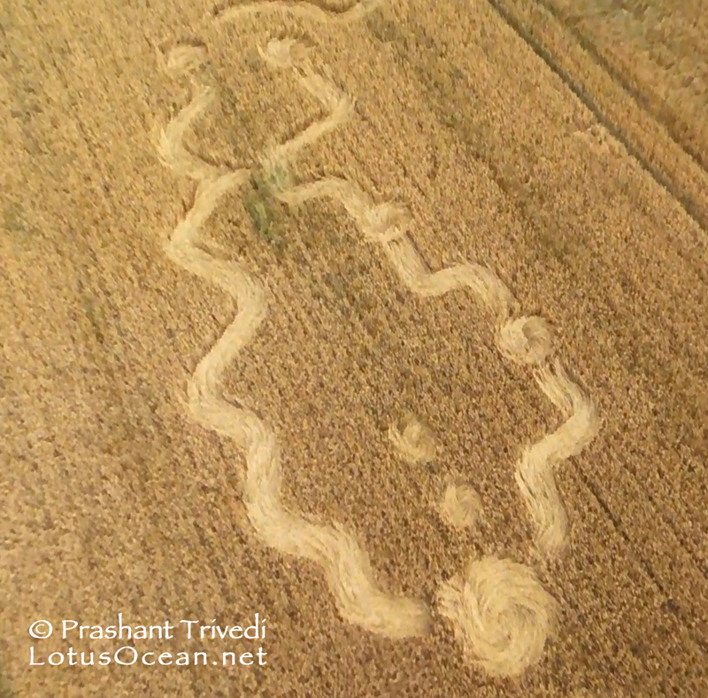 Crop Circles 2016 ~ 3 New in the UK Grown_essex05