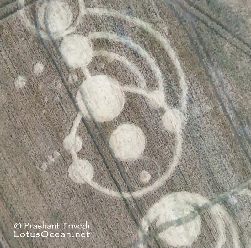 Crop Circles 2016 ~ 3 New in the UK Grown_essex09