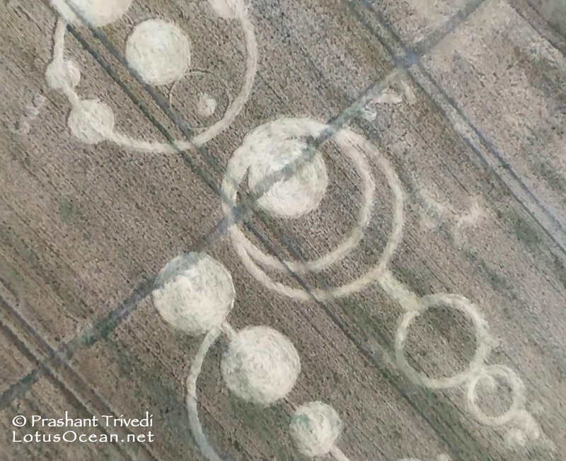 Crop Circles 2016 ~ 3 New in the UK Grown_essex10