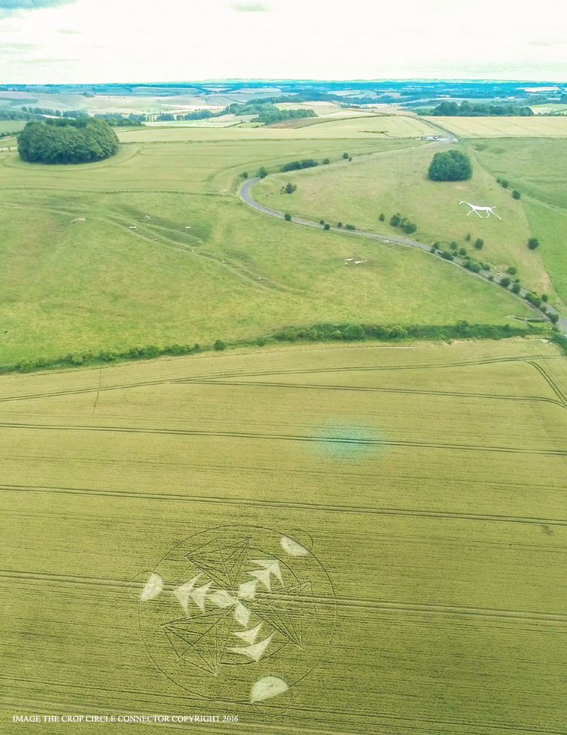 Crop Circles 2016 ~ Hackpen Hill, nr Broad Hinton & Wessex Ridgeway, Nr Devizes. Wiltshire G0024697bbb