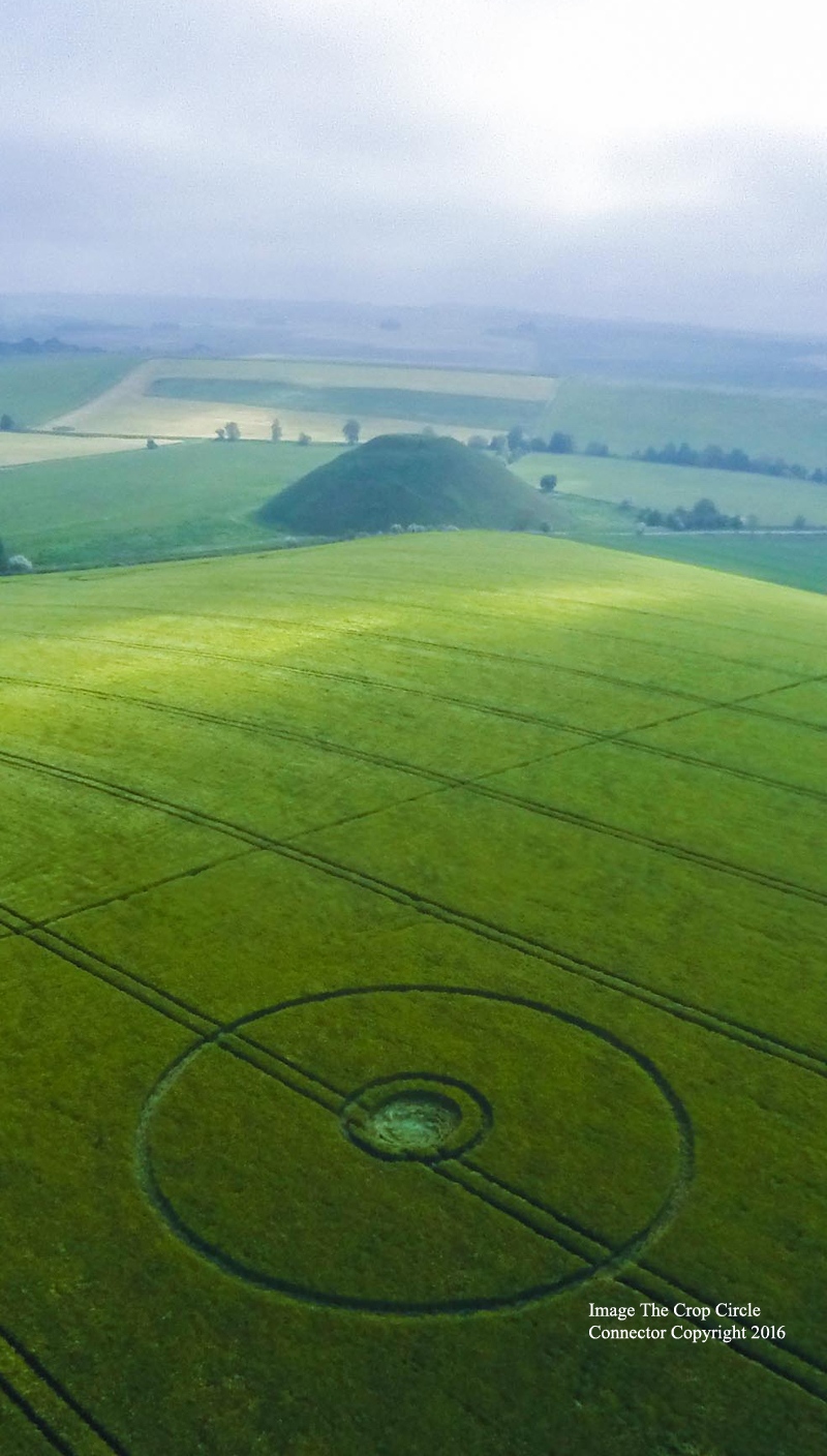 CROP CIRCLE ~ Silbury Hill, Nr Avebury, Wiltshire. Reported 28th May G0052249bbb