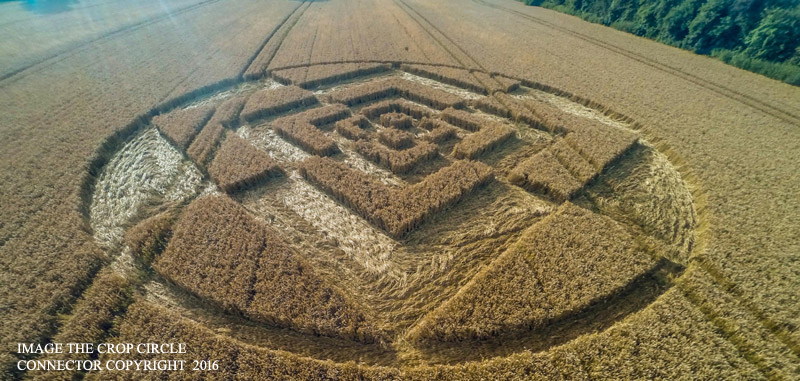 Crop Circles 2016 ~  Sparticles Wood, Nr Chaldon, Surrey G0086774bbb