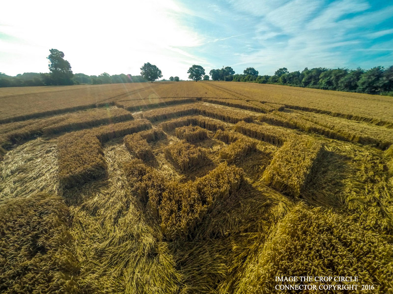 Crop Circles 2016 ~  Sparticles Wood, Nr Chaldon, Surrey G0086794bbb